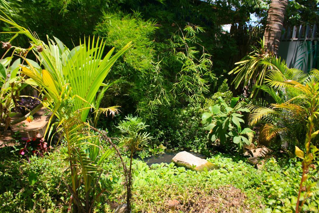 Firefly Guesthouse - The Berlin Angkor Siem Reap Zewnętrze zdjęcie