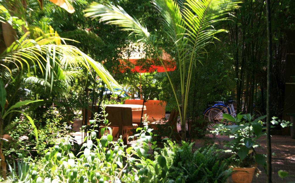 Firefly Guesthouse - The Berlin Angkor Siem Reap Zewnętrze zdjęcie