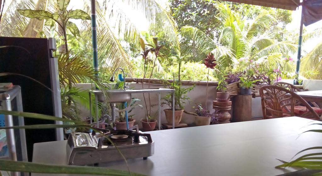 Firefly Guesthouse - The Berlin Angkor Siem Reap Zewnętrze zdjęcie