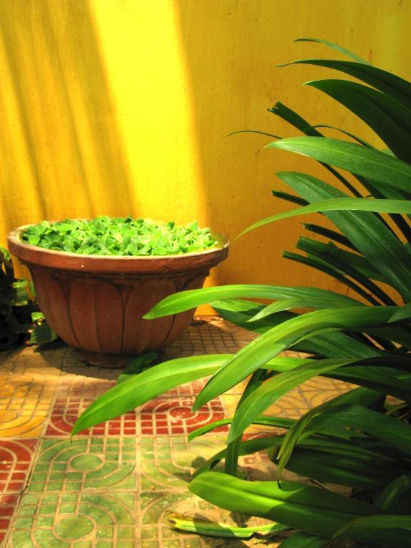 Firefly Guesthouse - The Berlin Angkor Siem Reap Zewnętrze zdjęcie