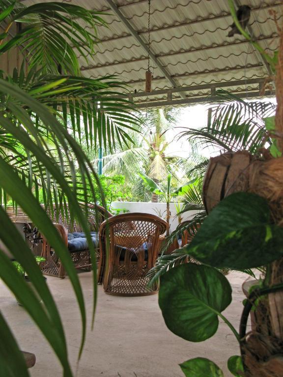 Firefly Guesthouse - The Berlin Angkor Siem Reap Zewnętrze zdjęcie